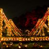 Photos: NY's Craziest, Most Elaborate Jack O' Lantern Display Is Back